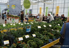 A peek into the presention of Volmary